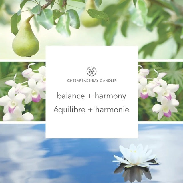 Chesapeake Bay Petite 96gr - Waterlily Pear (Équilibre & Harmonie)