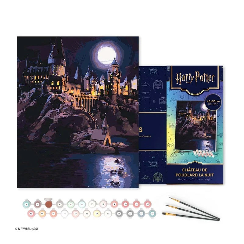 Harry Potter peinture par numéros Hogwarts la nuit