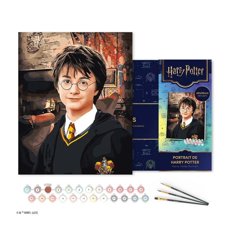 Harry Potter peinture par numéros Portrait Harry