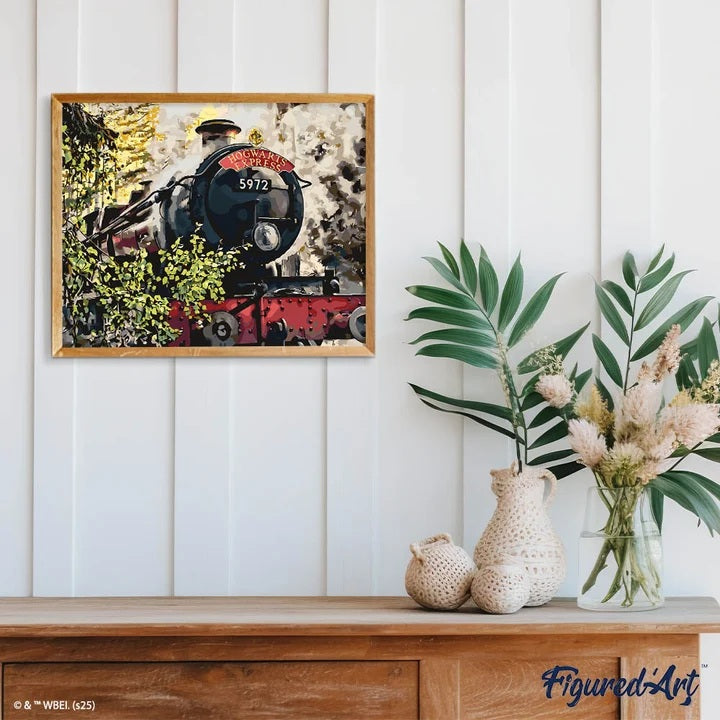 Harry Potter Peinture par numéros Hogwarts Express