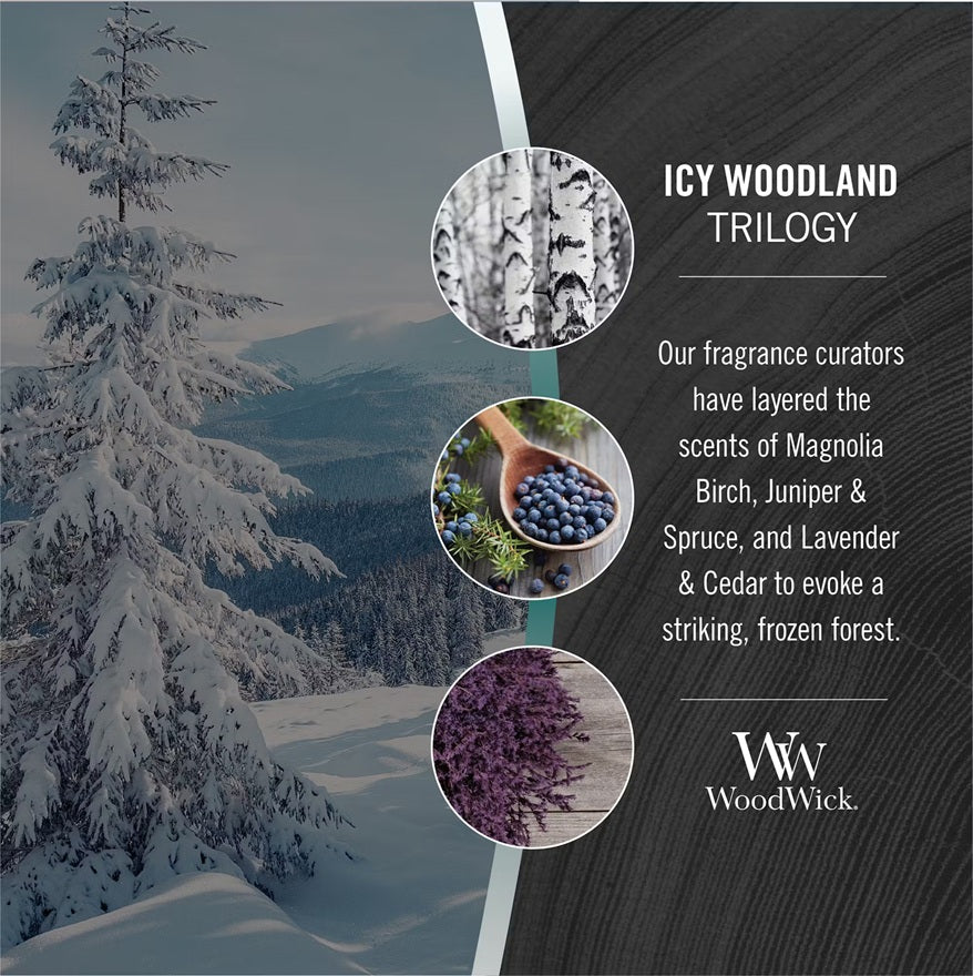 Woodwick Medium Trilogy Icy Woodland (Forêts Enneigées) 275gr