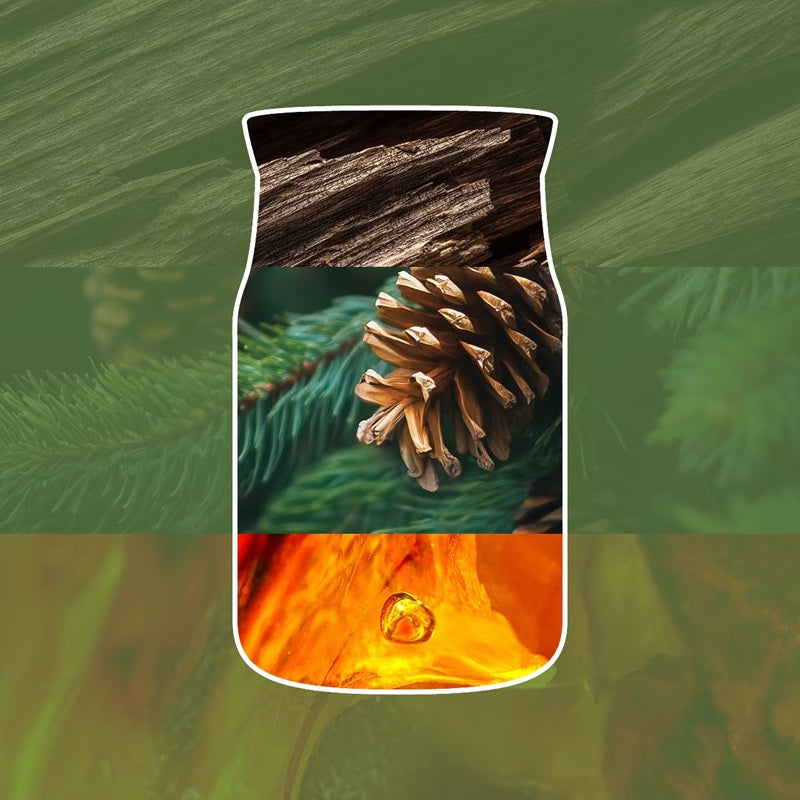 Yankee Candle Balsam & Cedar Fireside 567gr - Large Signature à 2 mèches