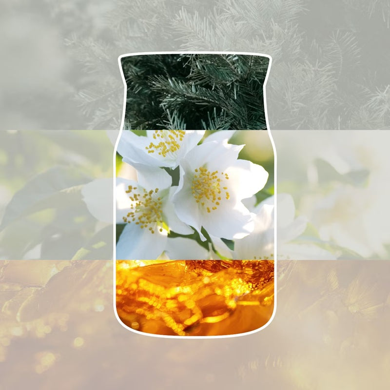 Yankee Candle Silver Birch