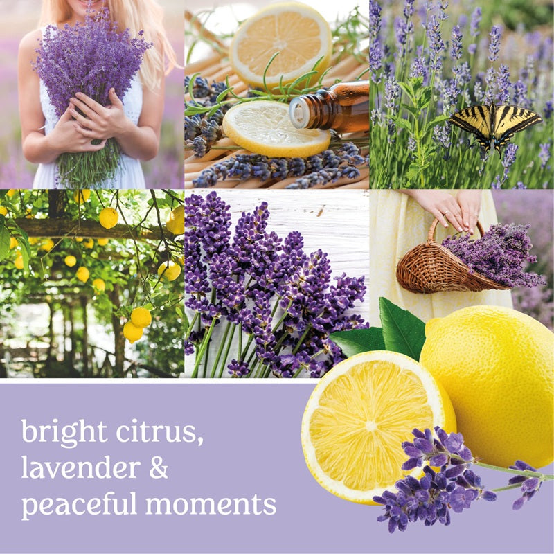 Yankee Candle Lemon Lavender 122g - Small Tumbler