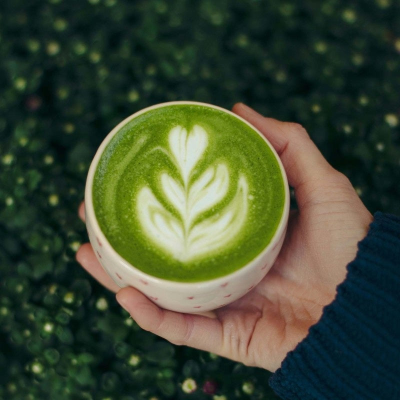 Terre d'Oc - Thé vert Matcha bio - 10 sticks