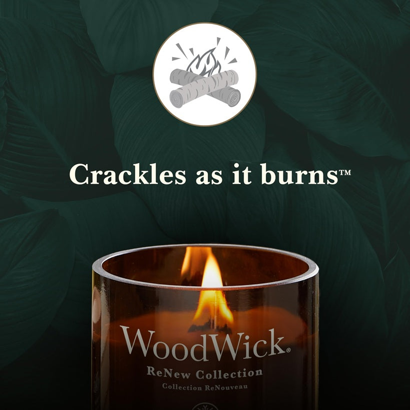 Woodwick Renew Medium Black Currant & Rose 184gr