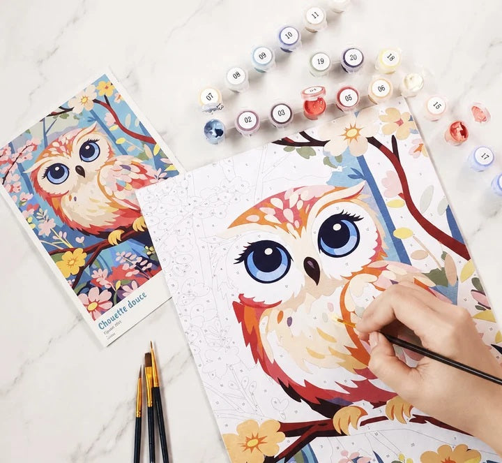 Peinture par numéros Chouette Douce
