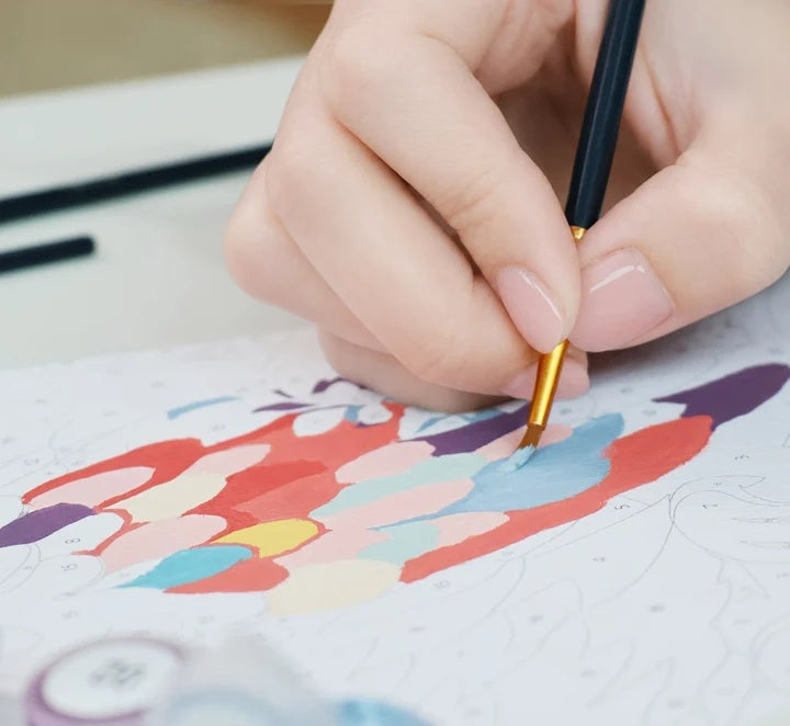 Peinture par numéros Chouette Douce