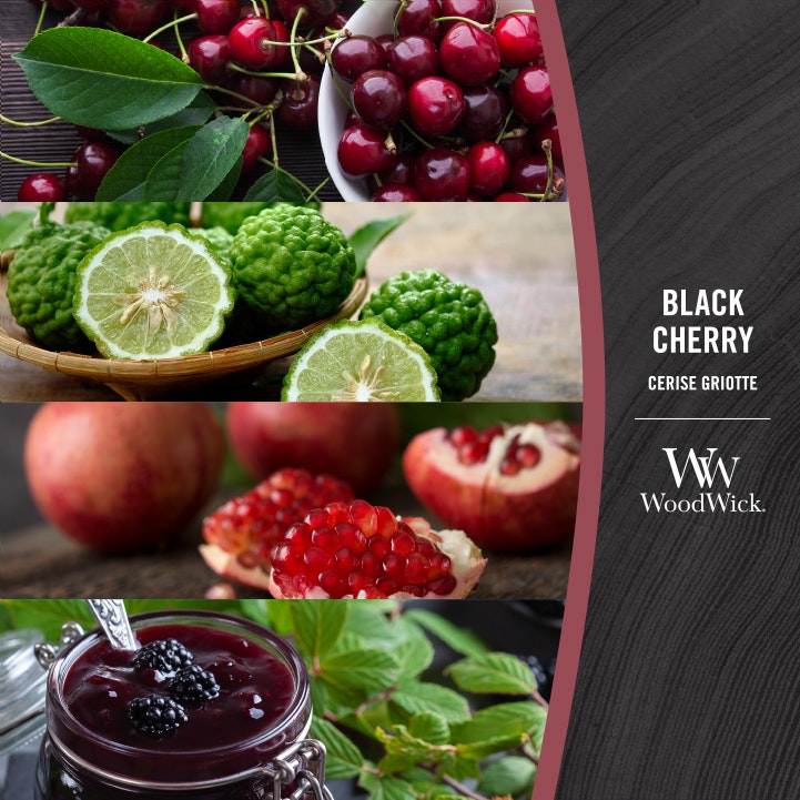 Woodwick Ellipse Black Cherry 453g
