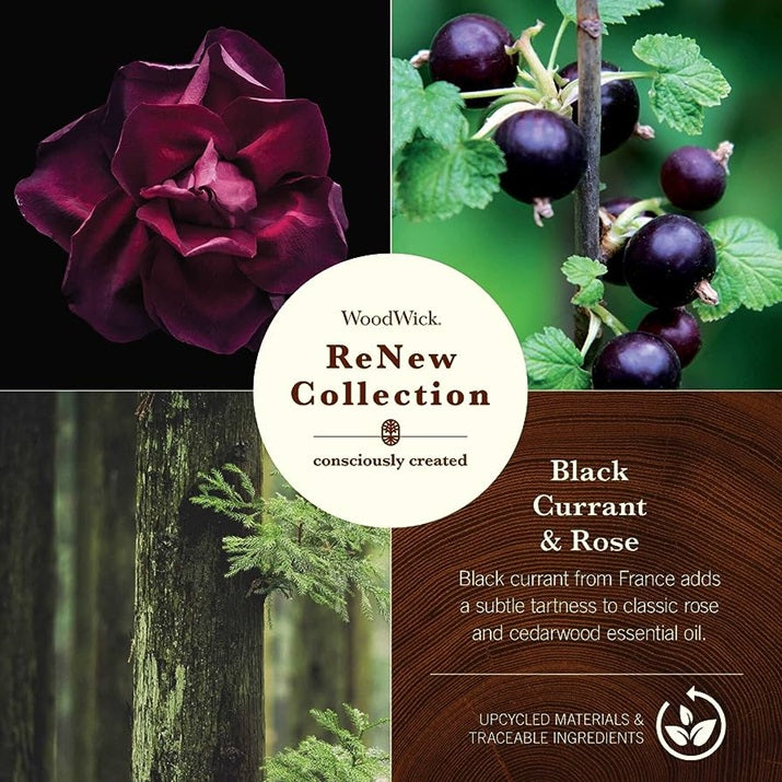 Woodwick Renew Large Black Currant & Rose 368gr
