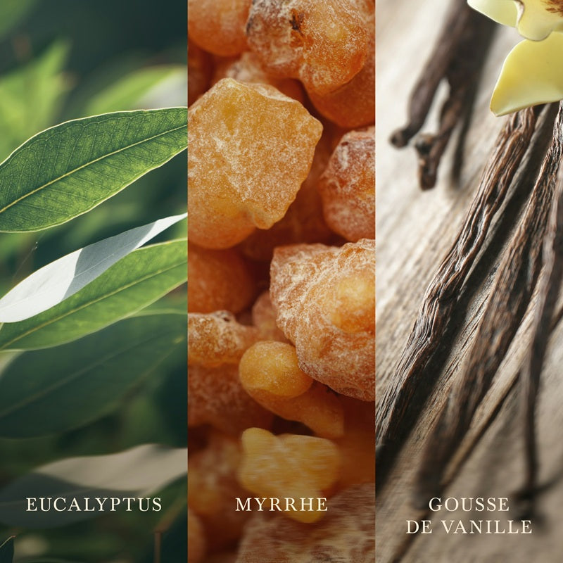 Woodwick Myrrhe & Bois de Santal