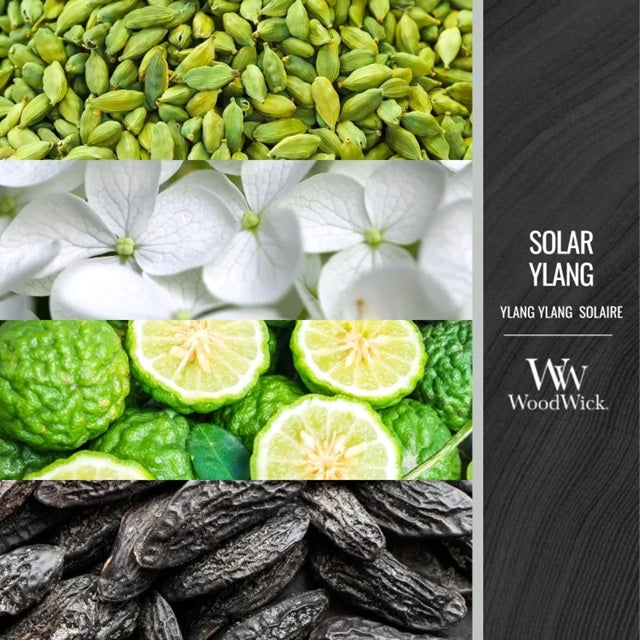 Woodwick Large Solar Ylang 609g
