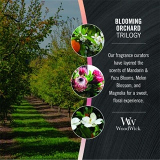 Woodwick Medium Trilogy Blooming Orchard (Blooming Orchard) 275gr