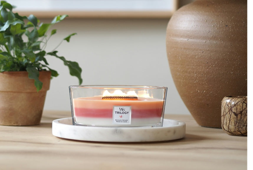 Woodwick Ellipse Trilogy Blooming Orchard (Verger en Fleurs) 453gr