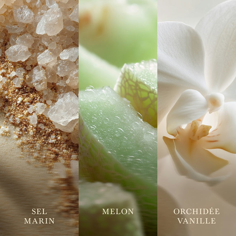 Woodwick Vanilla Sea Salt
