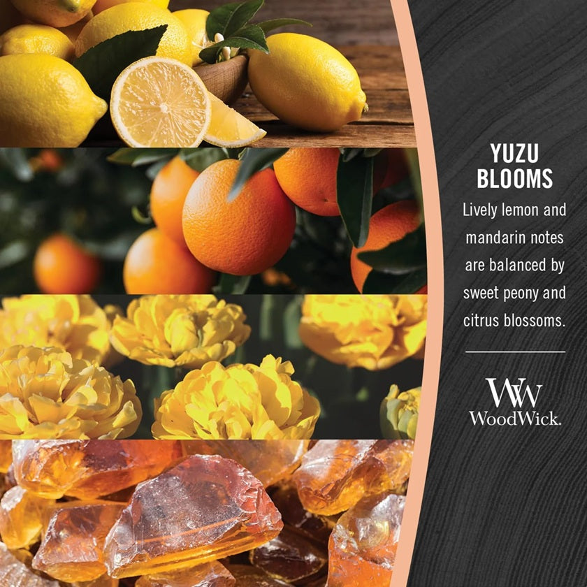 Woodwick Ellipse Yuzu Blooms 453g