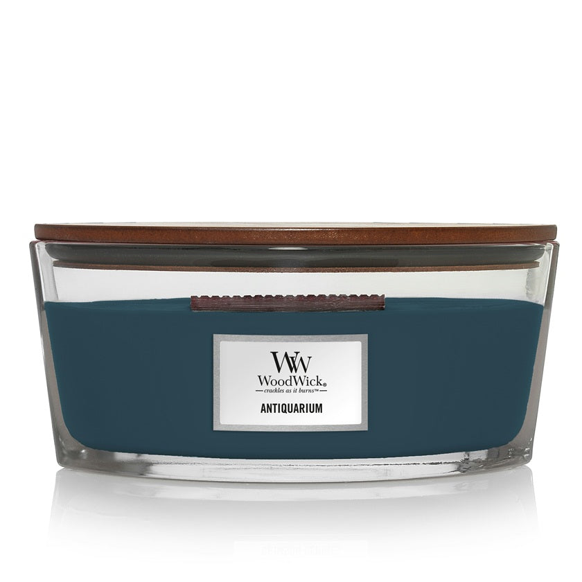 Woodwick Ellipse Antiquarium 453g