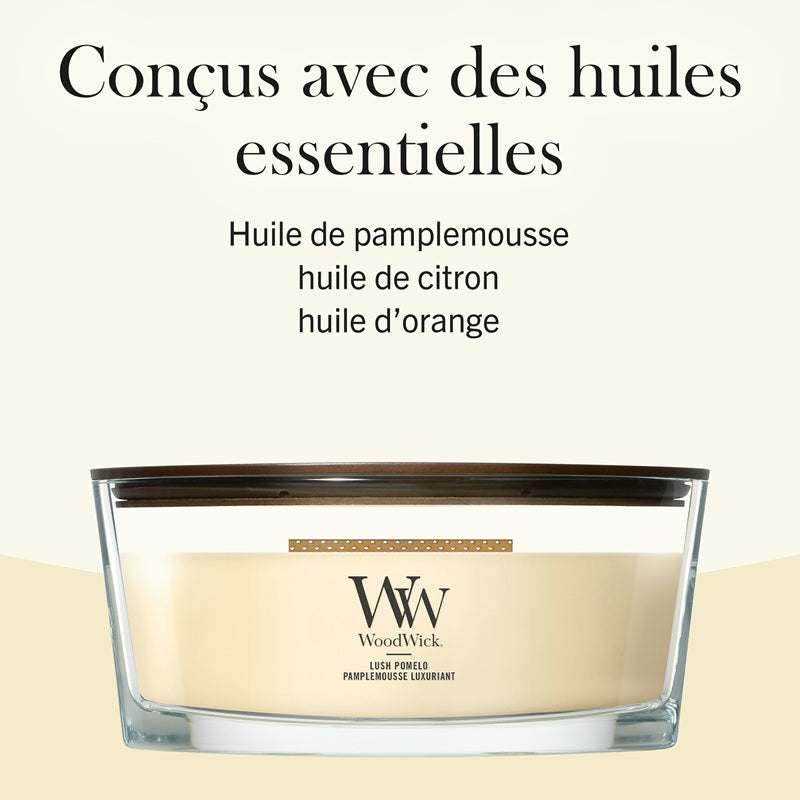 Woodwick Pamplemousse Luxuriant Ellipse HE
