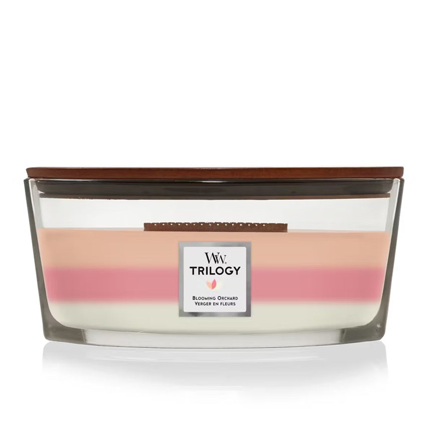 Woodwick Ellipse Trilogy Blooming Orchard 453g