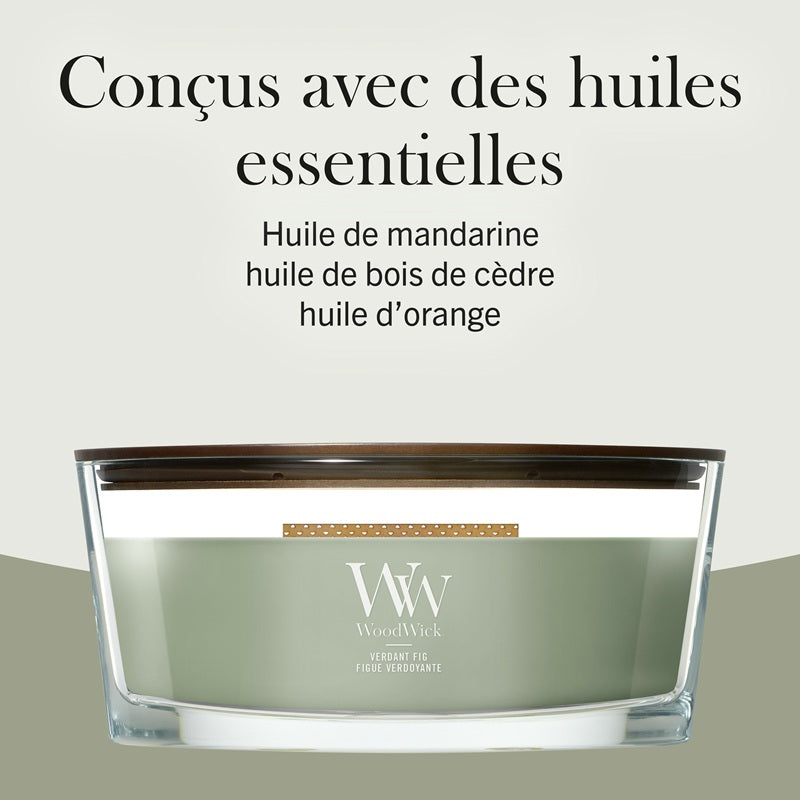 Woodwick Figue Verdoyante ellipse 