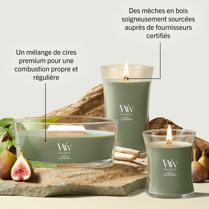 Woodwick Figue Verdoyante