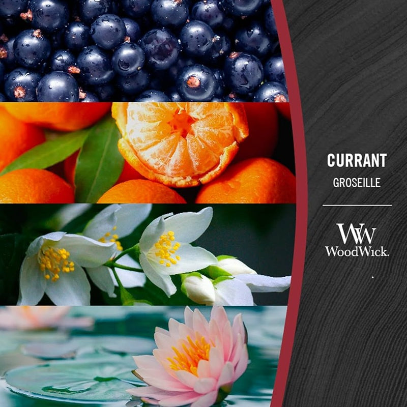 Woodwick Mini Currant 85g