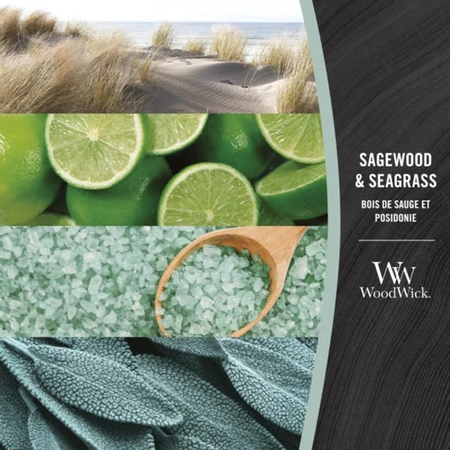 Woodwick Ellipse Sagewood & Seagrass 453g